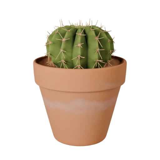 Potted Cactus